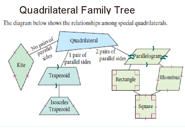 Quadrilateral Family Tree 
