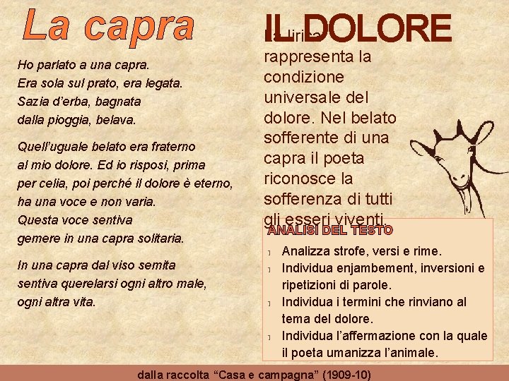 La capra Ho parlato a una capra. Era sola sul prato, era legata. Sazia La capra Ho parlato a una capra. Era sola sul prato, era legata. Sazia