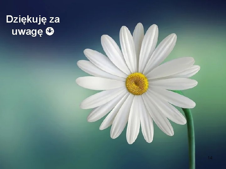 Dziękuję za uwagę 14 