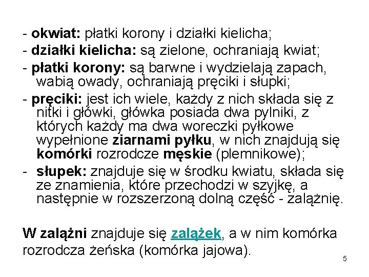 - okwiat: płatki korony i działki kielicha; - działki kielicha: są zielone, ochraniają kwiat;