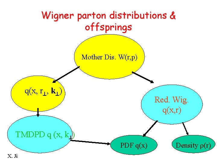 Wigner parton distributions & offsprings Mother Dis. W(r, p) q(x, r , k )