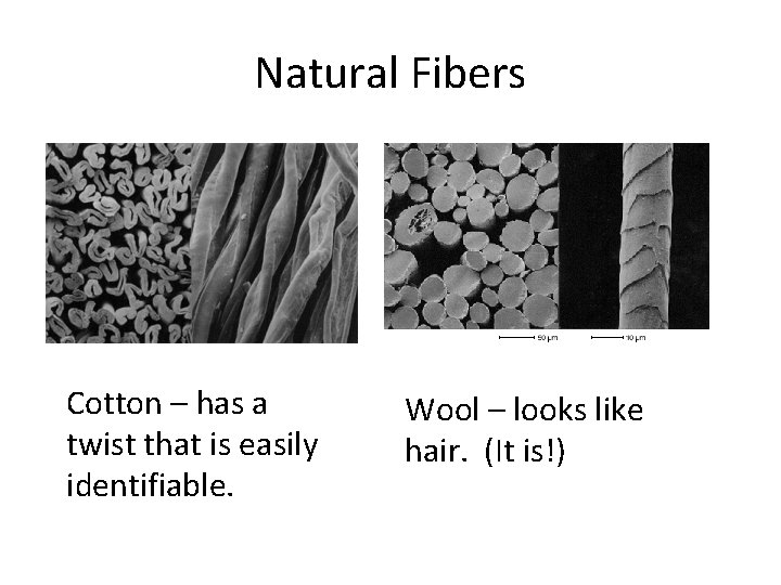 Natural Fibers Cotton – has a twist that is easily identifiable. Wool – looks
