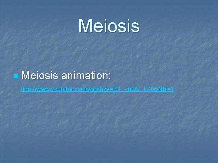 Meiosis n Meiosis animation: http: //www. youtube. com/watch? v=D 1_-m. QS_FZ 0&NR=1 Meiosis n Meiosis animation: http: //www. youtube. com/watch? v=D 1_-m. QS_FZ 0&NR=1