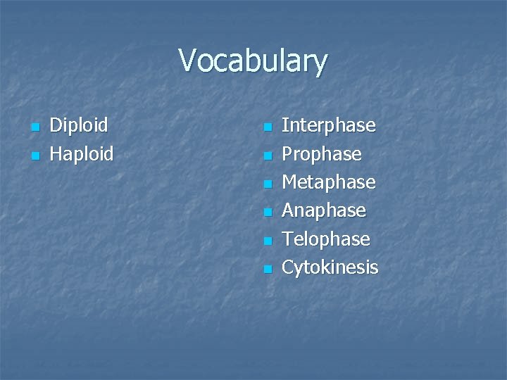 Vocabulary n n Diploid Haploid n n n Interphase Prophase Metaphase Anaphase Telophase Cytokinesis Vocabulary n n Diploid Haploid n n n Interphase Prophase Metaphase Anaphase Telophase Cytokinesis