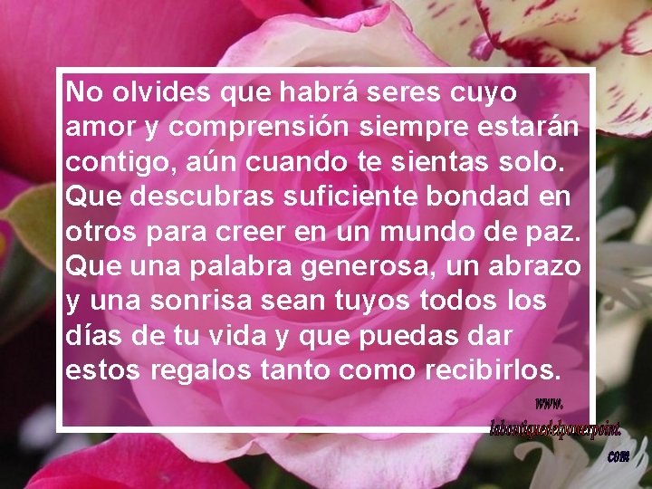 No olvides que habrá seres cuyo amor y comprensión siempre estarán contigo, aún cuando