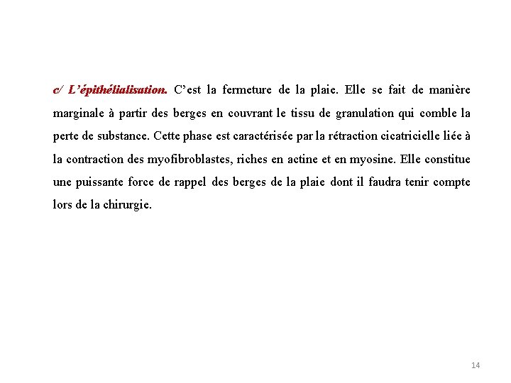 c/ L’épithélialisation. C’est la fermeture de la plaie. Elle se fait de manière marginale