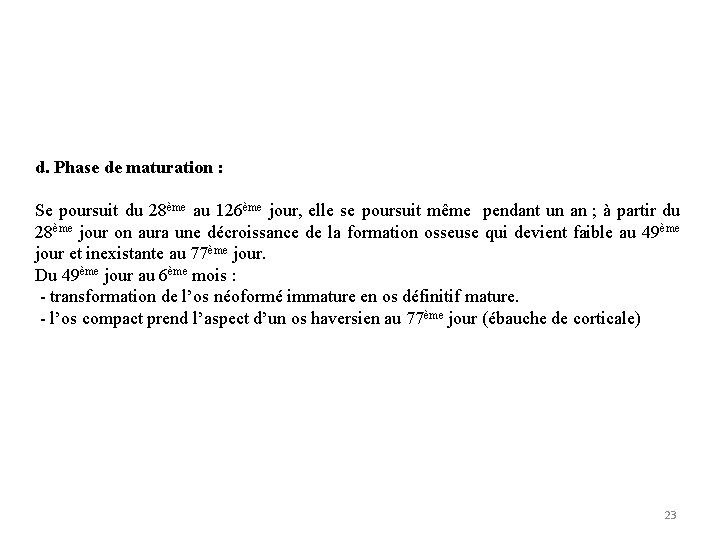 d. Phase de maturation : Se poursuit du 28ème au 126ème jour, elle se