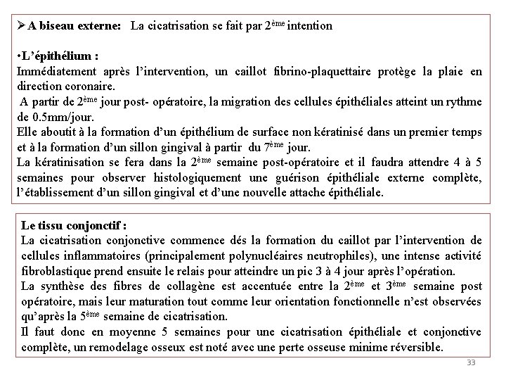 ØA biseau externe: La cicatrisation se fait par 2ème intention • L’épithélium : Immédiatement