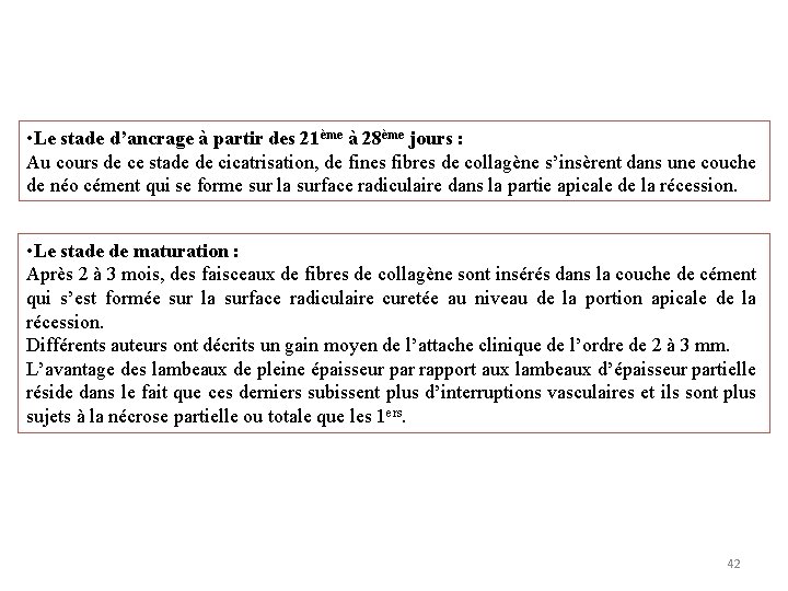  • Le stade d’ancrage à partir des 21ème à 28ème jours : Au