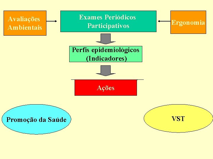 Avaliações Ambientais Exames Periódicos Participativos Ergonomia Perfis epidemiológicos (Indicadores) Ações Promoção da Saúde VST