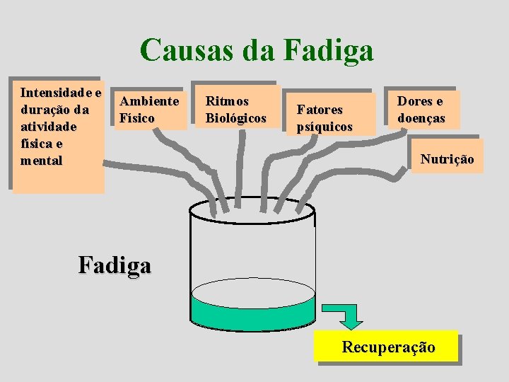 Causas da Fadiga Intensidade e duração da atividade física e mental Ambiente Físico Ritmos