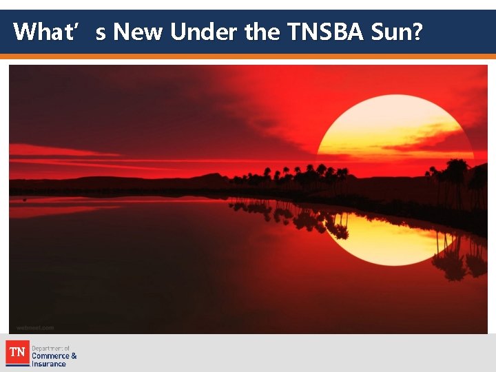 What’s New Under the TNSBA Sun? 