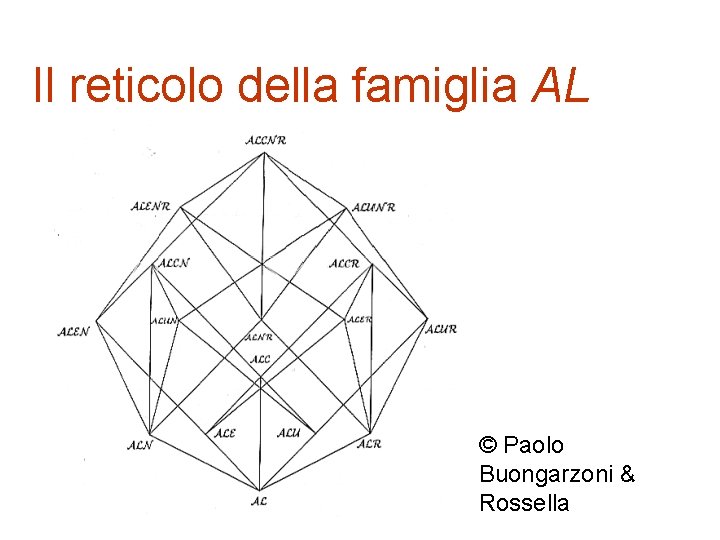 Il reticolo della famiglia AL © Paolo Buongarzoni & Rossella 