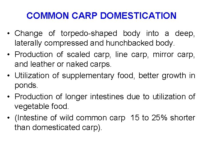 COMMON CARP DOMESTICATION • Change of torpedo-shaped body into a deep, laterally compressed and