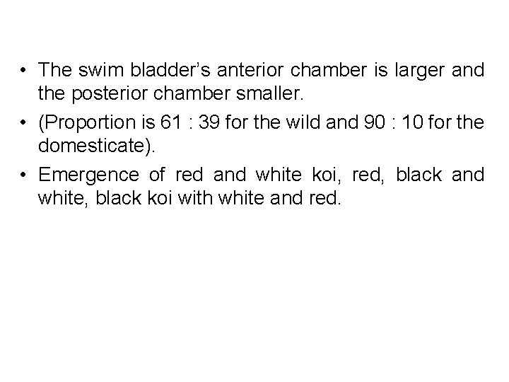  • The swim bladder’s anterior chamber is larger and the posterior chamber smaller.