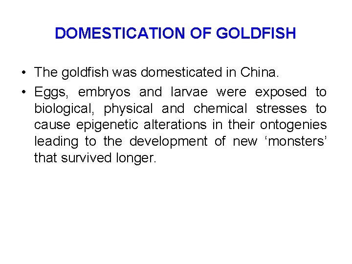 DOMESTICATION OF GOLDFISH • The goldfish was domesticated in China. • Eggs, embryos and