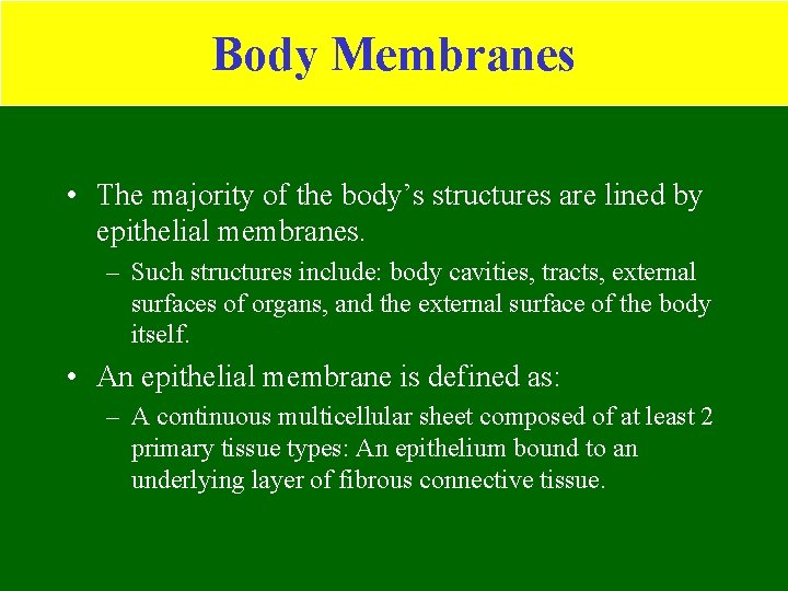 Body Membranes • The majority of the body’s structures are lined by epithelial membranes.