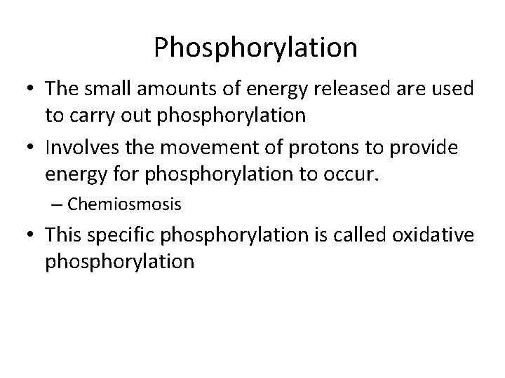 Phosphorylation • The small amounts of energy released are used to carry out phosphorylation
