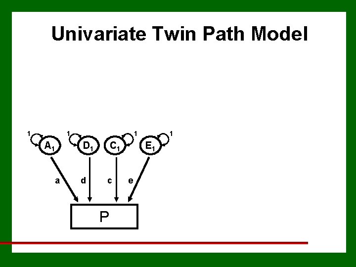 Univariate Twin Path Model 1 1 A 1 a 1 D 1 C 1