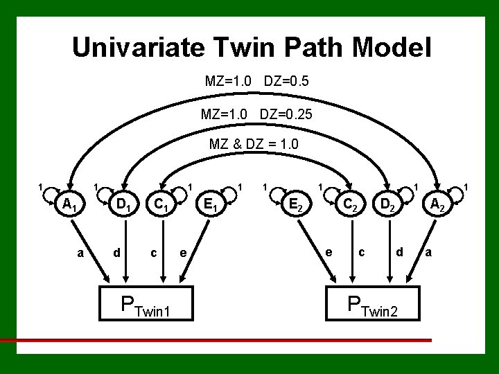 Univariate Twin Path Model MZ=1. 0 DZ=0. 5 MZ=1. 0 DZ=0. 25 MZ &