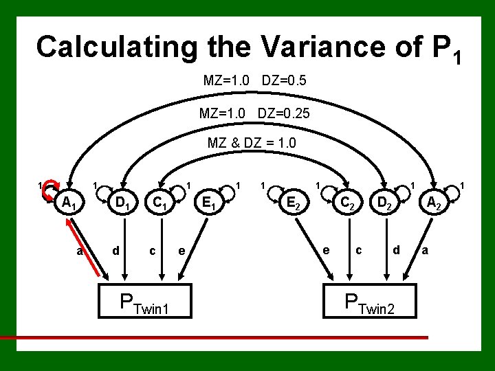 Calculating the Variance of P 1 MZ=1. 0 DZ=0. 5 MZ=1. 0 DZ=0. 25