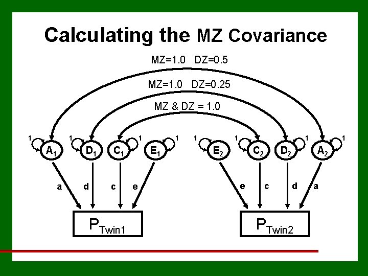 Calculating the MZ Covariance MZ=1. 0 DZ=0. 5 MZ=1. 0 DZ=0. 25 MZ &