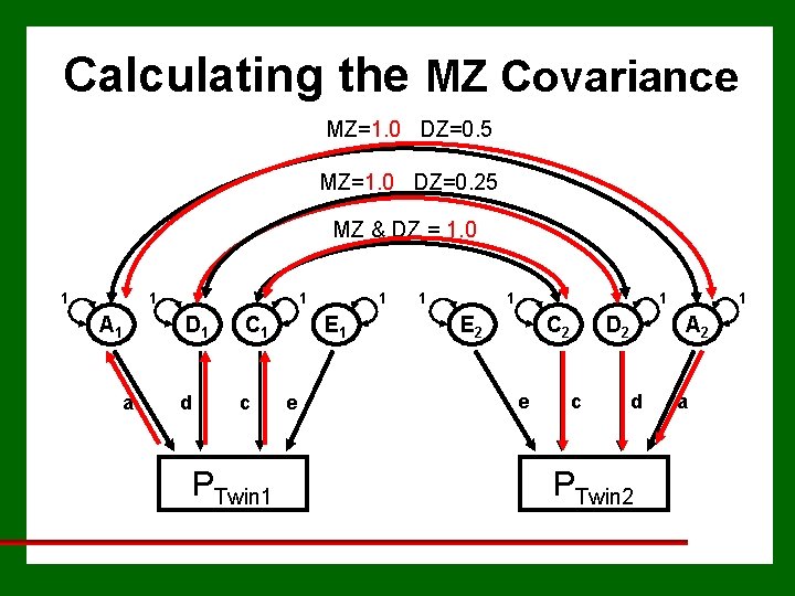 Calculating the MZ Covariance MZ=1. 0 DZ=0. 5 MZ=1. 0 DZ=0. 25 MZ &