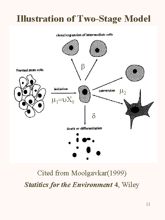 Illustration of Two-Stage Model b m 2 m 1=u. X 0 d Cited from
