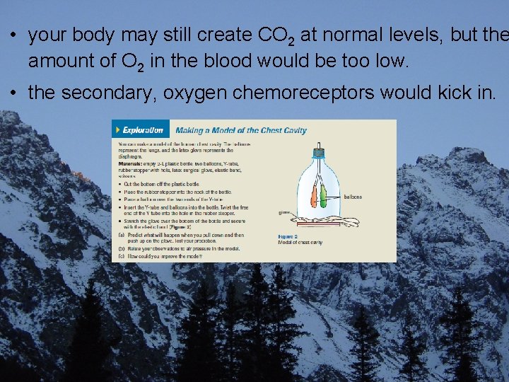  • your body may still create CO 2 at normal levels, but the