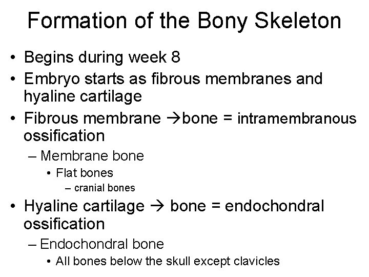 Formation of the Bony Skeleton • Begins during week 8 • Embryo starts as Formation of the Bony Skeleton • Begins during week 8 • Embryo starts as