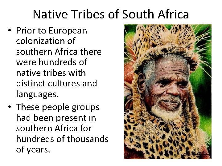 Native Tribes of South Africa • Prior to European colonization of southern Africa there