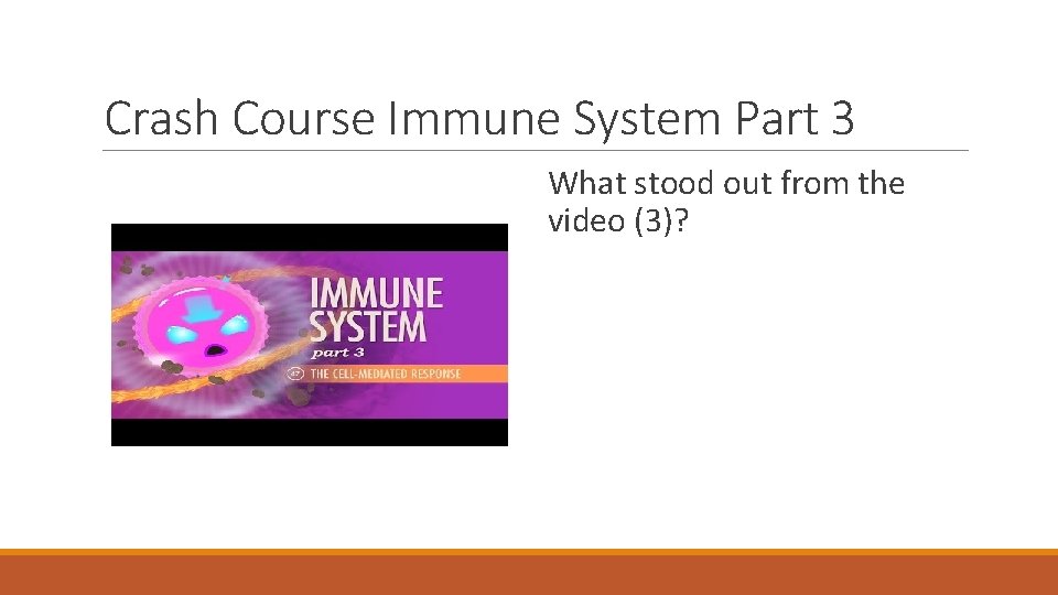 Crash Course Immune System Part 3 What stood out from the video (3)? 