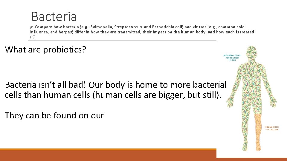 Bacteria g. Compare how bacteria (e. g. , Salmonella, Streptococcus, and Escherichia coli) and