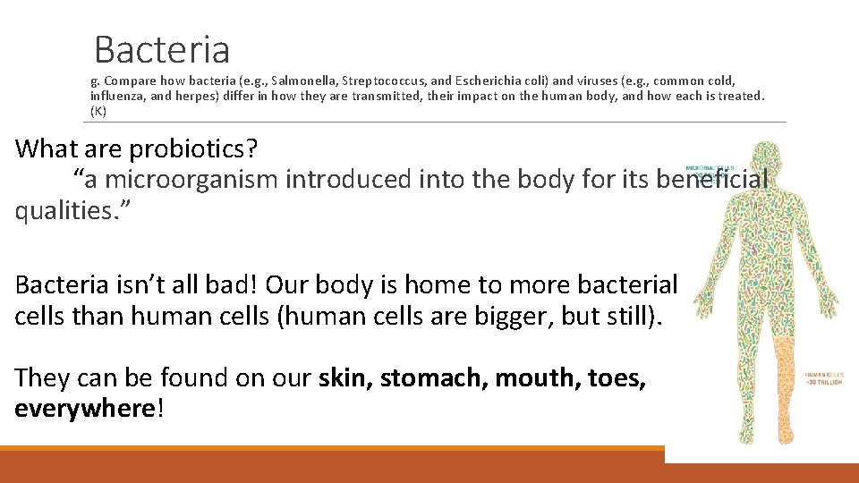 Bacteria g. Compare how bacteria (e. g. , Salmonella, Streptococcus, and Escherichia coli) and