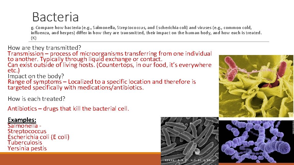 Bacteria g. Compare how bacteria (e. g. , Salmonella, Streptococcus, and Escherichia coli) and