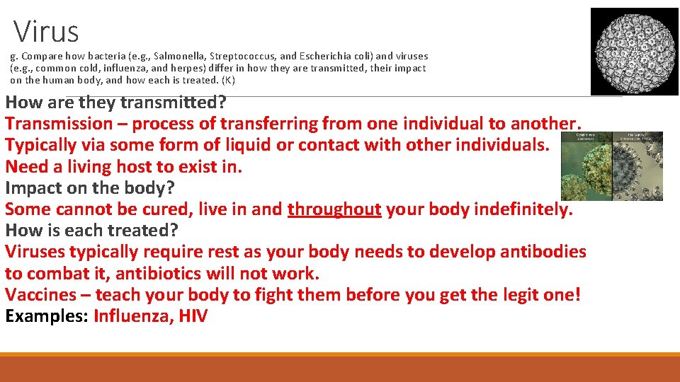 Virus g. Compare how bacteria (e. g. , Salmonella, Streptococcus, and Escherichia coli) and