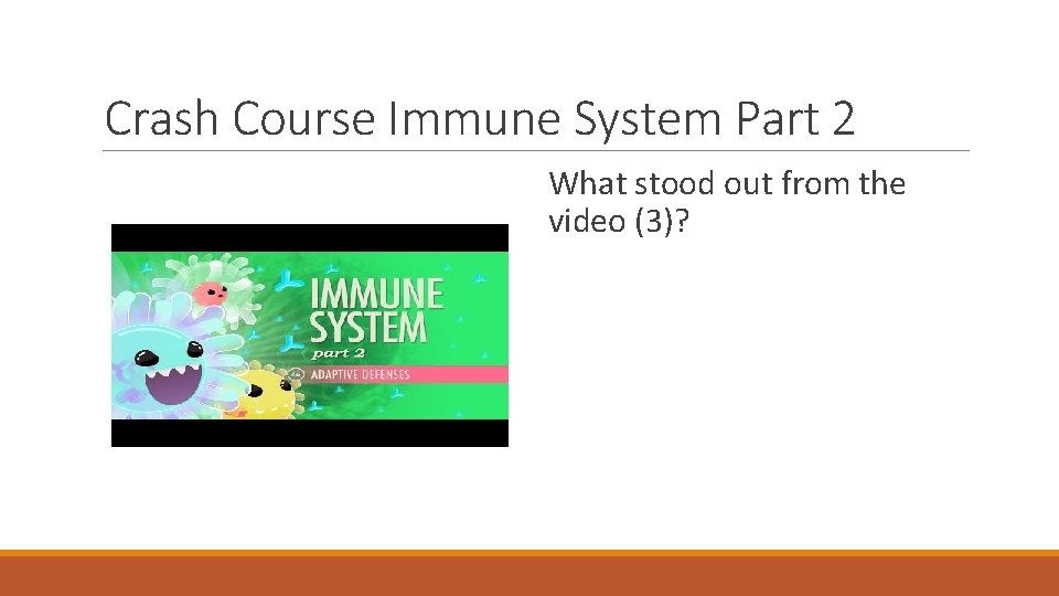Crash Course Immune System Part 2 What stood out from the video (3)? 