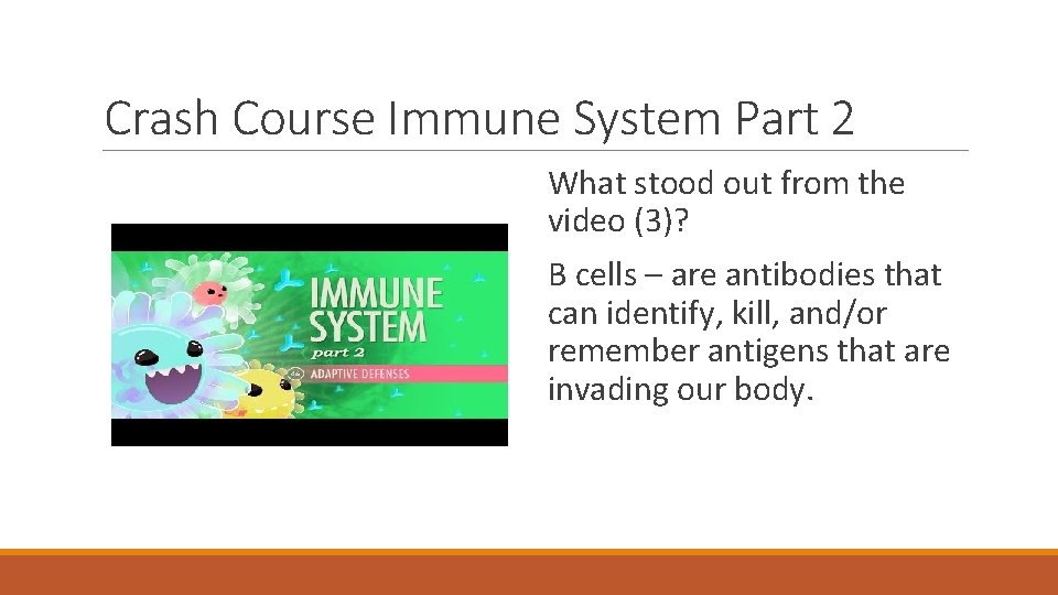 Crash Course Immune System Part 2 What stood out from the video (3)? B