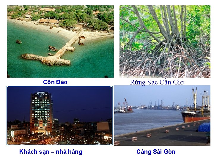 Côn Đảo Khách sạn – nhà hàng Rừng Sác Cần Giờ Cảng Sài Gòn