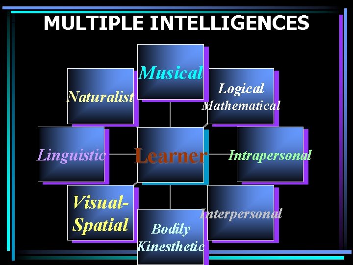 MULTIPLE INTELLIGENCES Musical Naturalist Linguistic Visual. Spatial Logical Mathematical Learner Intrapersonal Interpersonal Bodily Kinesthetic