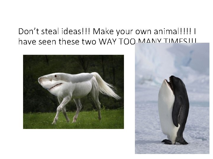 Don’t steal ideas!!! Make your own animal!!!! I have seen these two WAY TOO