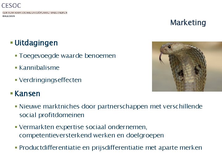 Marketing § Uitdagingen § Toegevoegde waarde benoemen § Kannibalisme § Verdringingseffecten § Kansen §