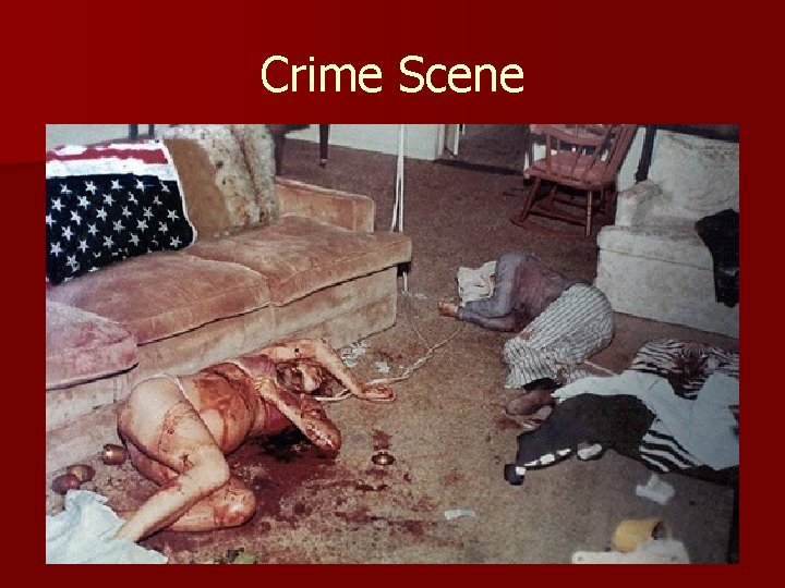 Crime Scene 