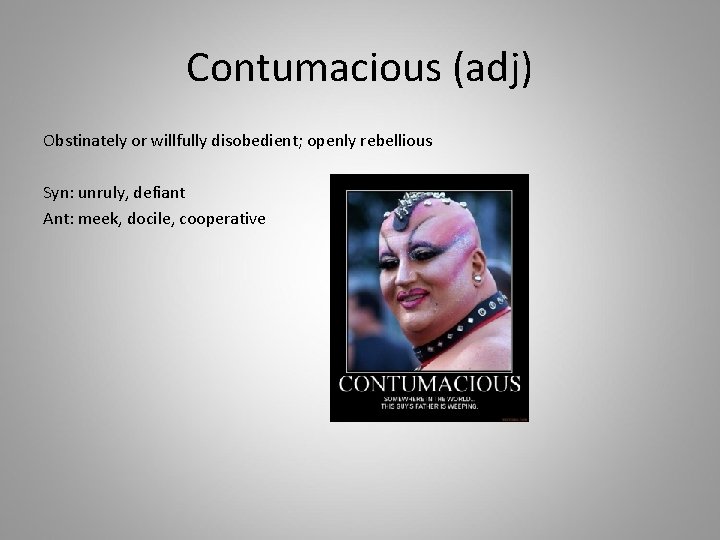 Contumacious (adj) Obstinately or willfully disobedient; openly rebellious Syn: unruly, defiant Ant: meek, docile,