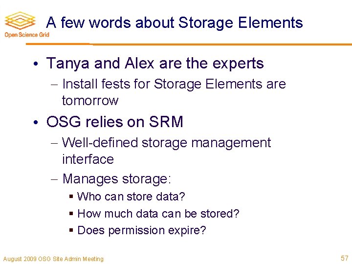 A few words about Storage Elements • Tanya and Alex are the experts Install
