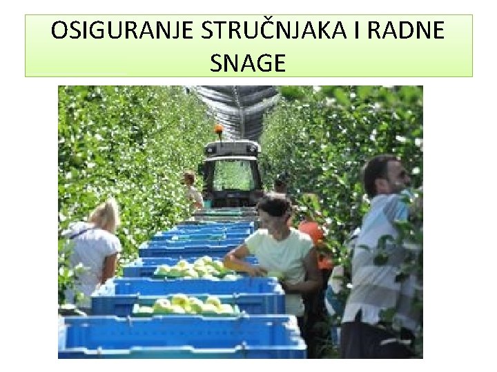 OSIGURANJE STRUČNJAKA I RADNE SNAGE 