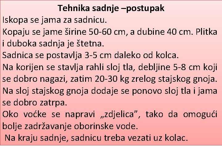 Tehnika sadnje –postupak Iskopa se jama za sadnicu. Kopaju se jame širine 50 -60