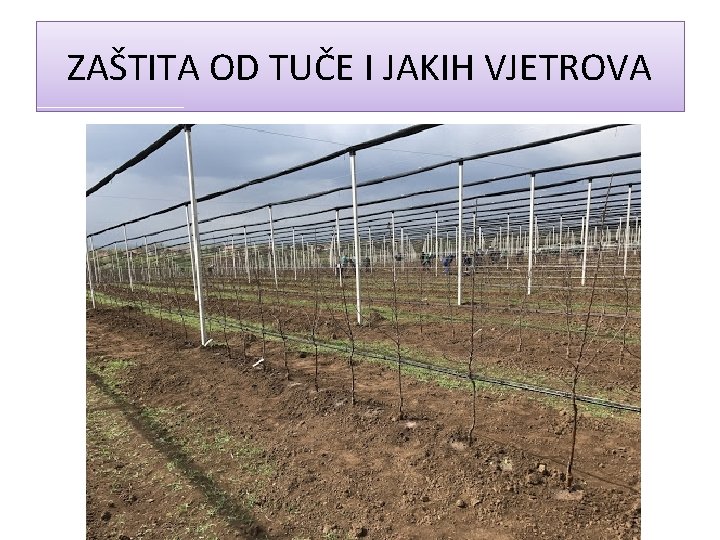 ZAŠTITA OD TUČE I JAKIH VJETROVA 