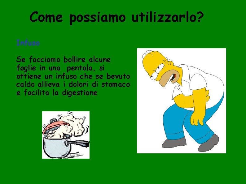 Come possiamo utilizzarlo? Infuso Se facciamo bollire alcune foglie in una pentola, si ottiene