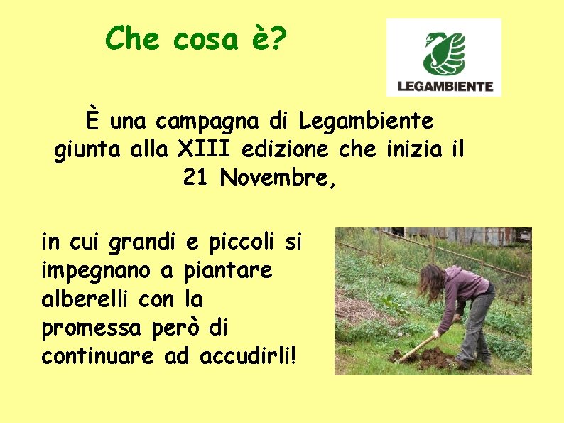 Che cosa è? È una campagna di Legambiente giunta alla XIII edizione che inizia